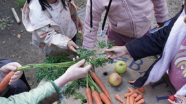 Foodforlife4
