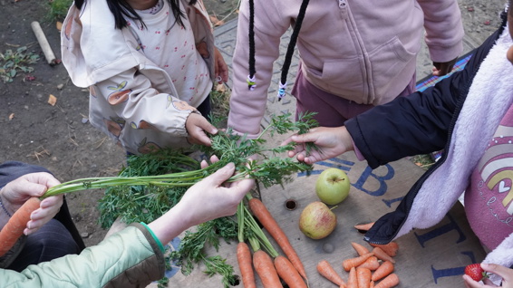 Foodforlife4