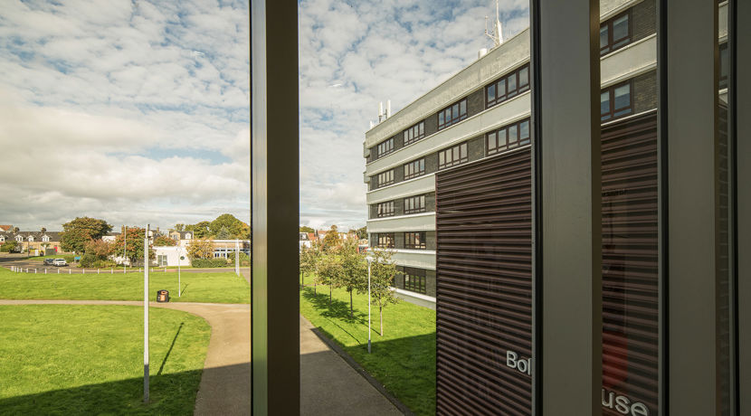 Looking out a window on a sunny day at Milton Road campus.